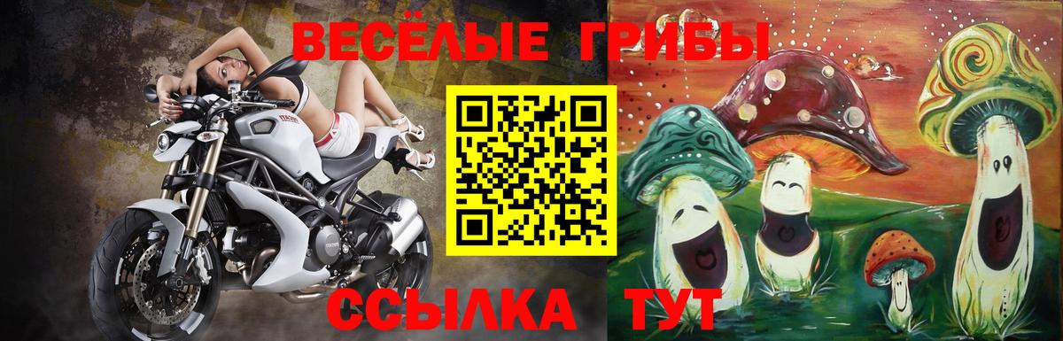 Канаш  Галлюциногенные грибы Psilocybine cubensis  Псилоцибиновые грибы мицелий  дарнет шоп  Вход с VPN 